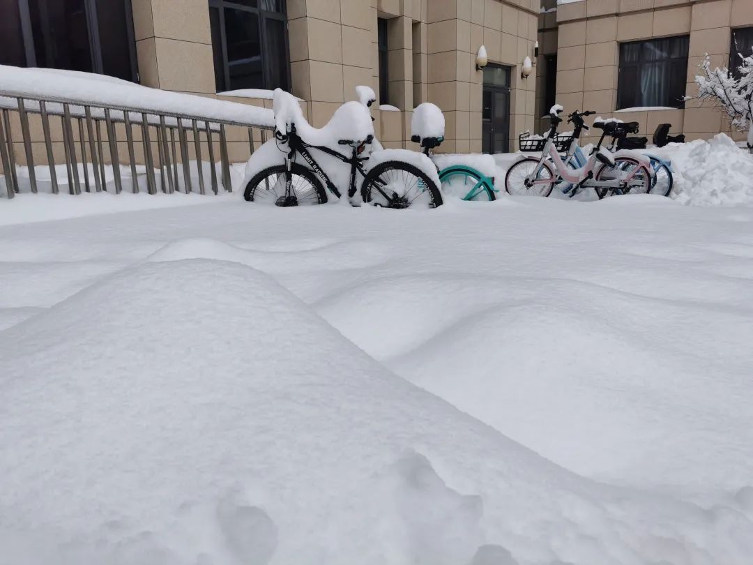 零成本|雪地靠喊找手机、阳台切＂豆腐＂、徒手敲车窗…东北这场罕见暴雪惊了网友