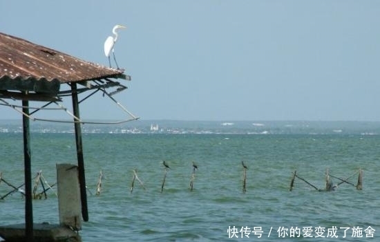 世界上闪电最多的地方,马拉开波湖(1年有297天闪电)!