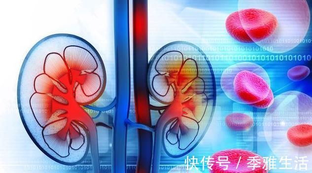 低盐饮食|慢性肾病如何管理好饮食?坚持2点饮食“秘诀”,或可逆转肾衰竭