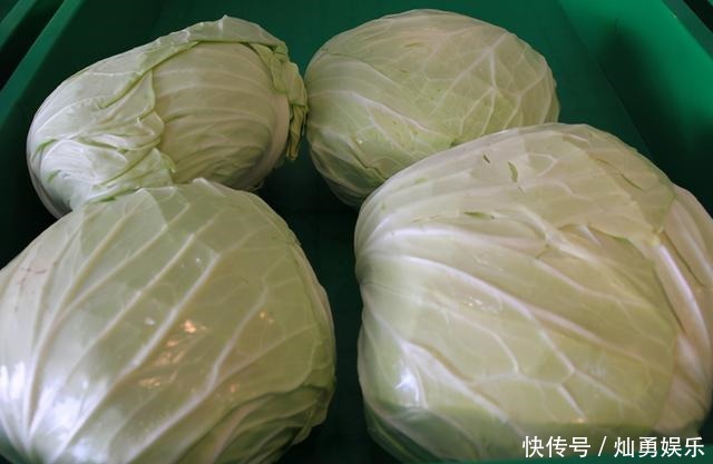 好吃|为啥饭店炒的包菜这么好吃?原来是后厨大师傅往里加了一勺“它”
