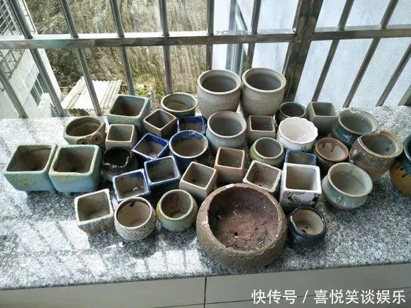 几十个高价花盆,被扔在垃圾桶旁,捡还是不捡?