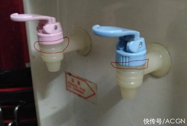 猫和老鼠|网友吐槽:真正的神cos,就算用一个刷子也能还原出动漫角色