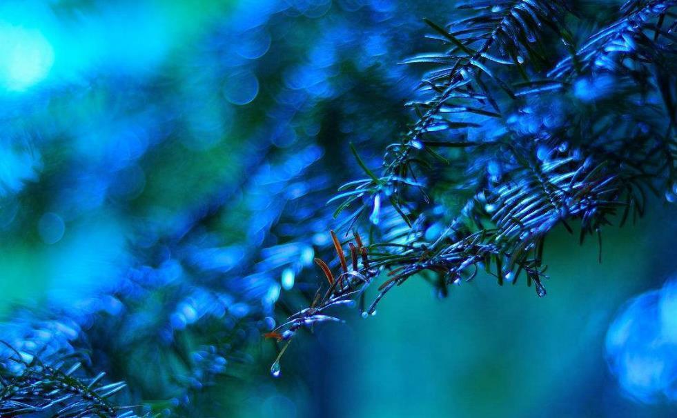  开篇|李煜高水平之作，仅开篇6个字就出手不凡，词中之帝填词已入化境