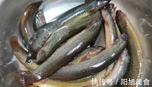 猪肉|被人“嫌弃”最多的鱼，白送都没人要，比猪肉营养，好吃还不上火