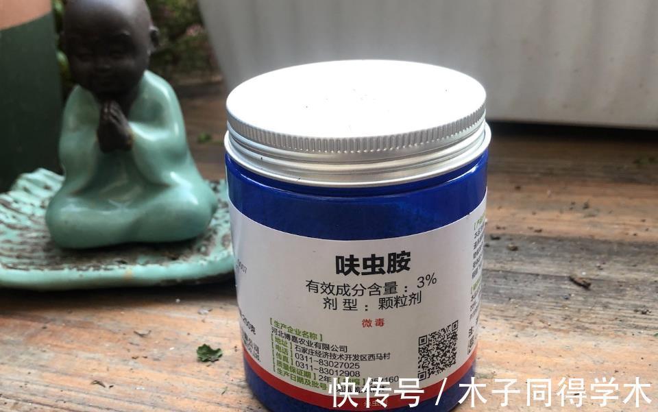 虫害|养花没虫害不是梦,花盆土面撒上它,虫害去无踪