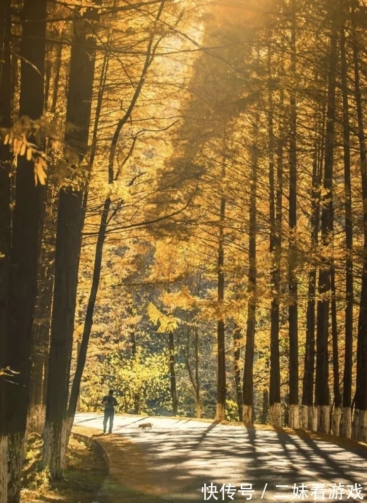 秘境|秦岭山野深处，误入雷阿诺的油画秘境