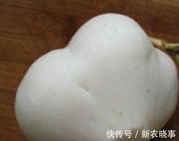剧毒|它的种子有剧毒，在农村却大量种植，只因大人小孩都爱吃