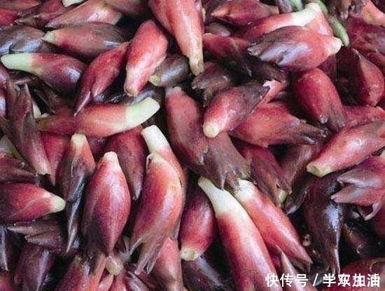 野草|农村这种草，被称为“小人参”，浑身是宝却常被人当野草！