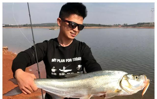 夏季|钓鱼实战:钓翘嘴的技巧,都在这里了,请花一分钟耐心看完