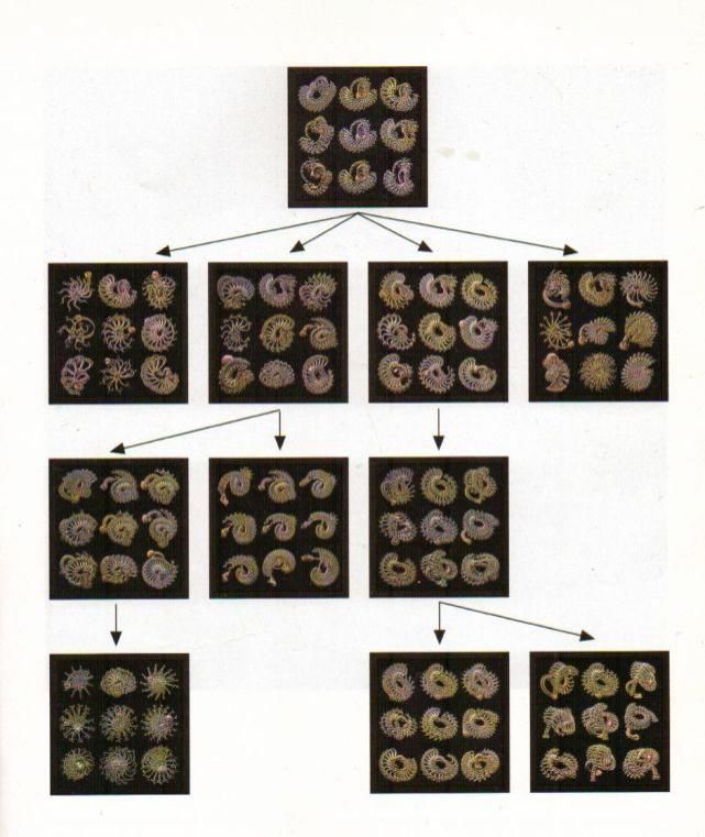 异形|人类你别以为自己长得美,事实上,生物就该美成异形那个样……