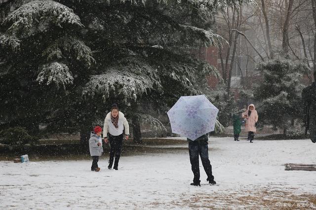 韦成柏$时逢小雪北风忽,旷野空山草萎枯。《小雪》诗词63首