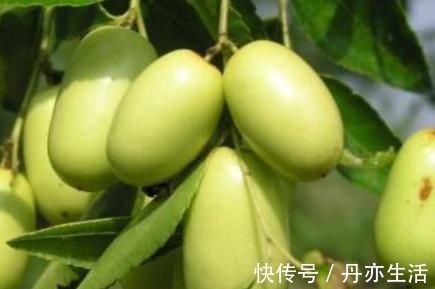 孩子|尽量少让孩子“碰”4种水果,特别是最后3种,大人也要管住嘴