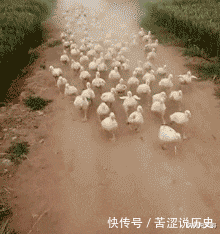 招架|“孙悟空刀枪不入,为什么还用金箍棒招架敌人的武器?”哈哈哈神回复亮了!