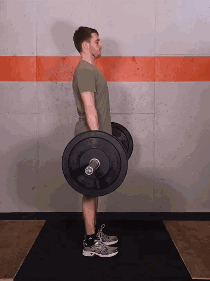 肌群|圆背硬拉——检验新人与高手训练水平的动作,完成大重量更轻松