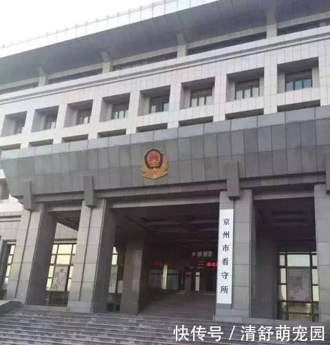 最频繁出现的虚拟城市--滨海市、江州市