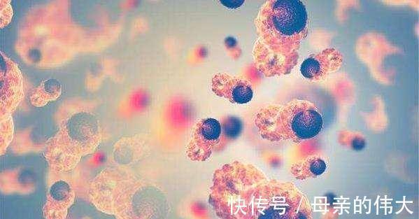 癌症|很多癌症一发现就是晚期?或许只是我们没能及时去“认出”它