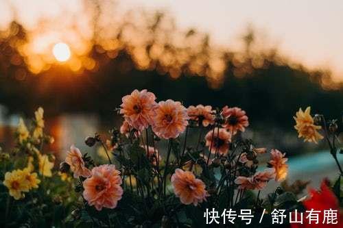 自傲!人老了,对以下4件事越看越“通透”,晚年不会差到哪里去