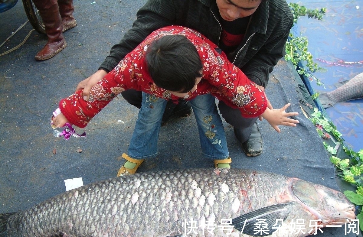 秋季钓大鱼,为何不选深水?鱼说:“我也是这么想的”!