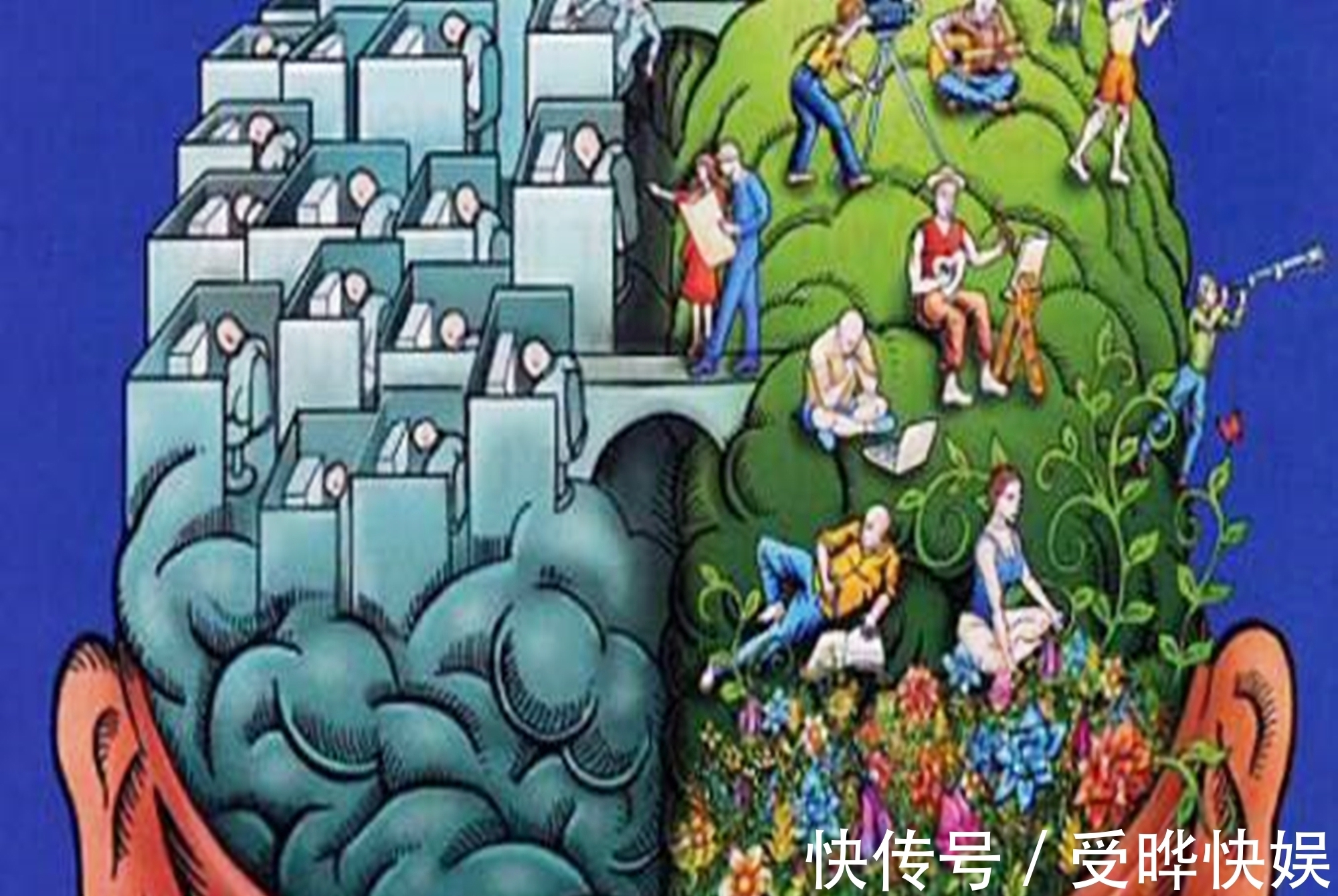 用手|“左撇子”孩子比普通人更聪明科学家左撇子远没你想的那么简单