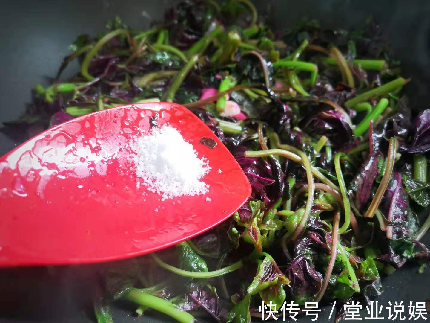 夏天|这菜可真是“一宝”，夏天吃最好，清热解暑，利尿除湿，不吃可惜