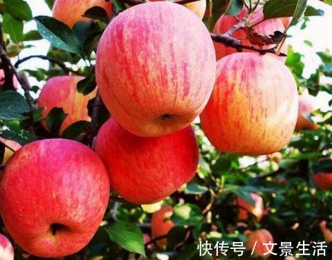 心脏疾病|苹果什么时候吃最好每天吃2个,远离心脏疾病