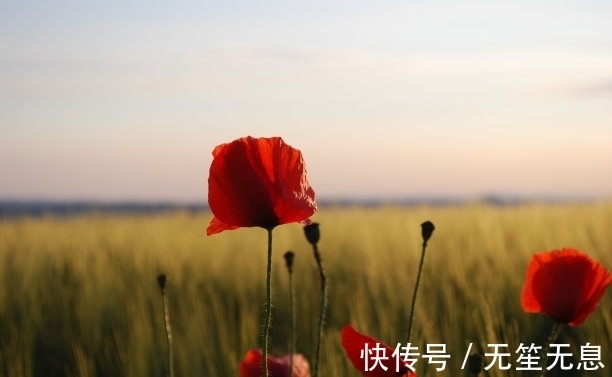 7月5日是谁的生日