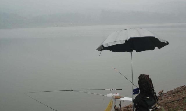 钓鱼鲫鱼都分布在哪里,有什么需要注意的地方吗