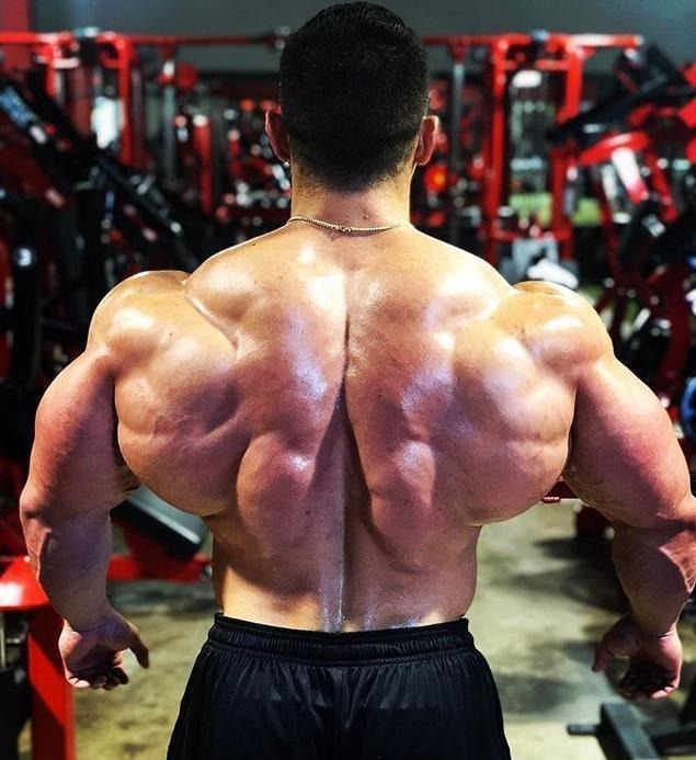 奥赛|身高167cm能拥有多强的背?健美大佬告诉你:女友抱不过来