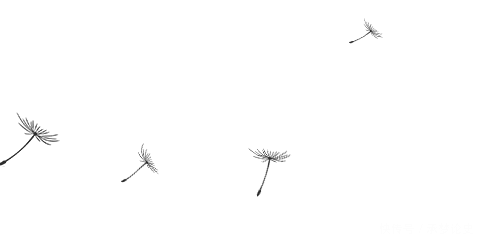 鸟蛋|掏鸟蛋掏出的国宝要上央视啦?
