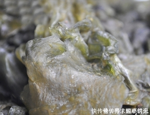 羊肚菌|农村烂在地里没人要,没想到城里人却争着买,长得丑,特好吃