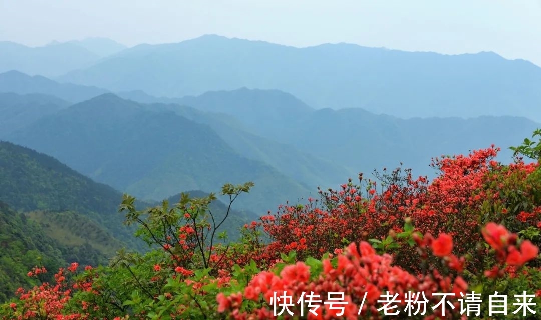 晓出净慈寺送林子方#那抹诗意的红