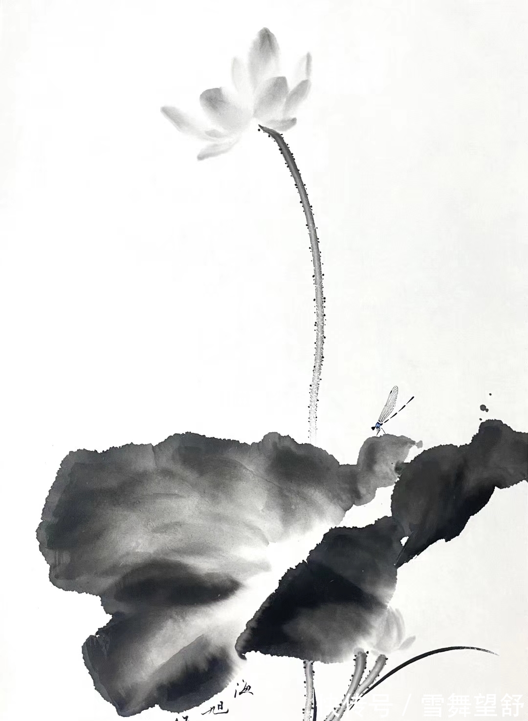 来标|画家李亚、赵海旭、高来标、梁健、公进国画书法作品选萃