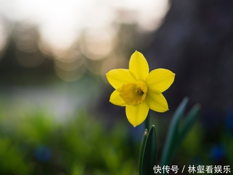 栋梁之材|出生在阴历这个月份的孩子,好好培养,将来成为国家栋梁之材!