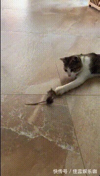 |「搞笑GIF」这是什么情况,知道现在的男孩子为什么不找女生玩了