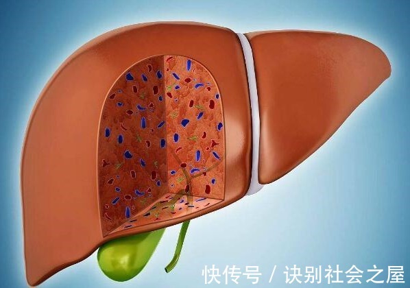 稀苷|肝脏专家:30岁想养肝护肝,6件事做到极致就行,肝脏自会感激你