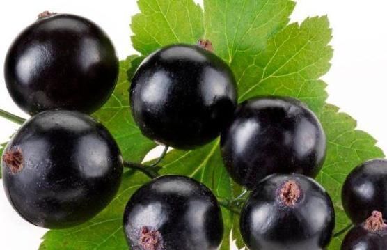 专家常吃此果子,降血压,延缓衰老、保护视力、保护肝脏