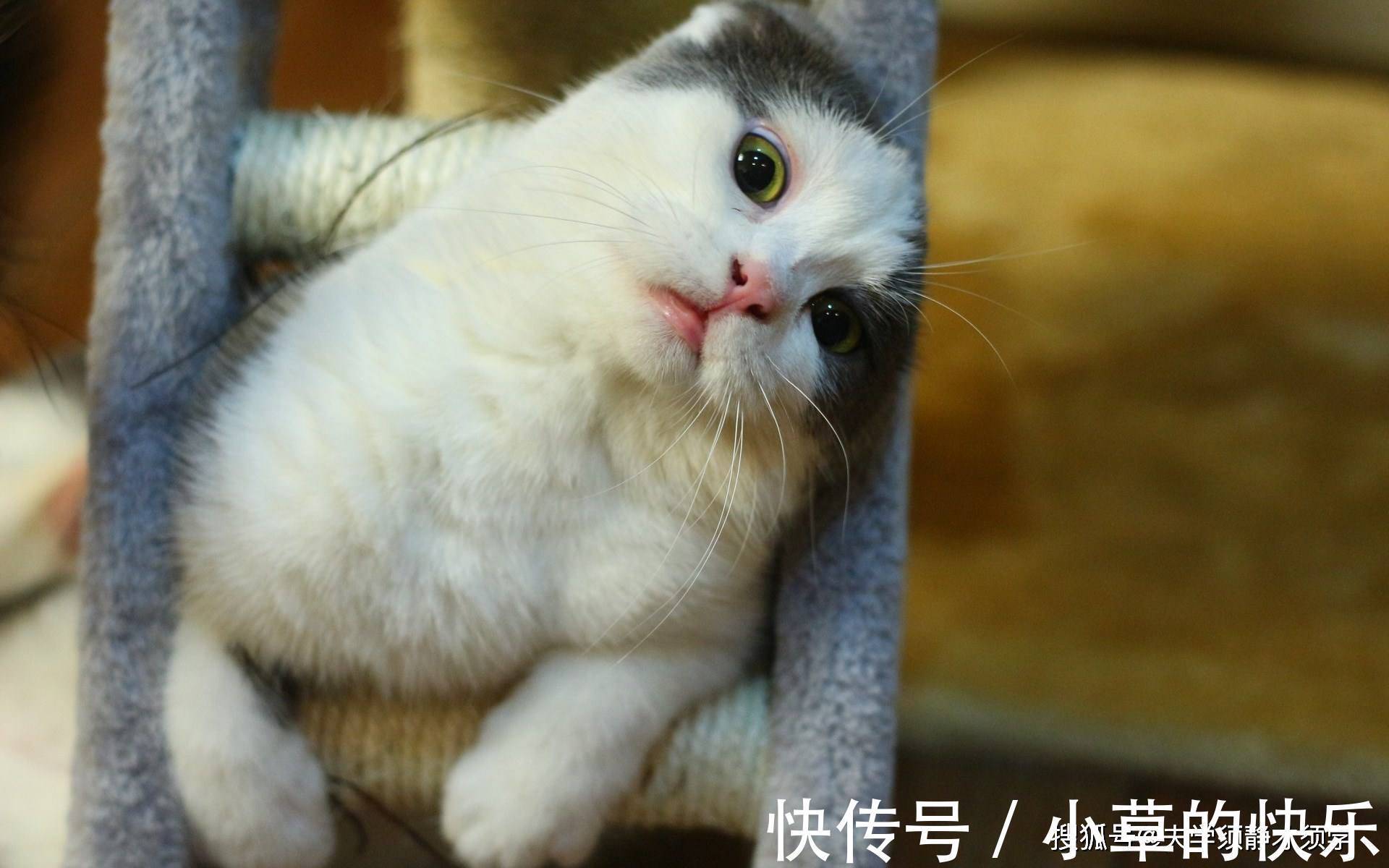 |幽默笑话:小学同事聚会,喝到一半时,大家开始回忆往事!