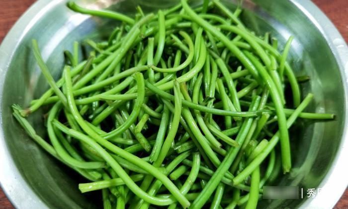 此菜营养极高,很多人只吃叶子,其实茎才是宝贝,不懂吃太可惜了