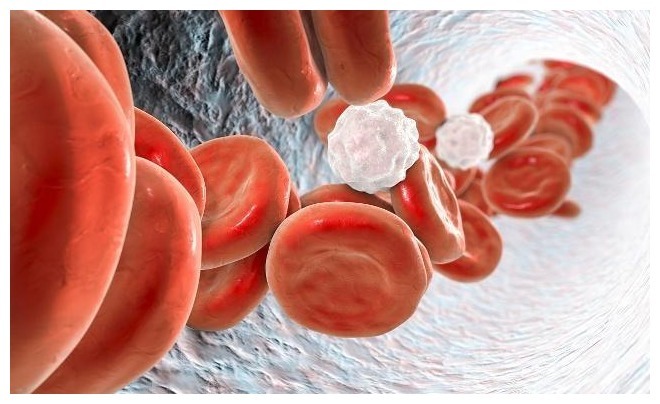 肾功能|男人肾好,一般有这五个“共性”,中年人能占俩,就证明肾很厉害