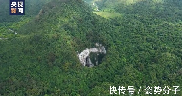 灭绝|消失超100年，竹生羊奶子和异叶苣苔被重新发现，云南蒙自真神奇