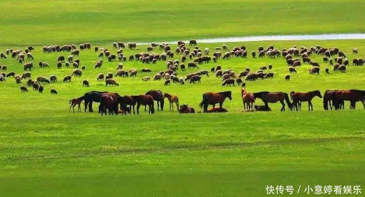 满洲里|呼伦贝尔旅游攻略自由行三天时间够吗？