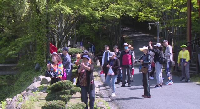 “五一”假期首日，祁门牯牛降景区旅游秩序井然！