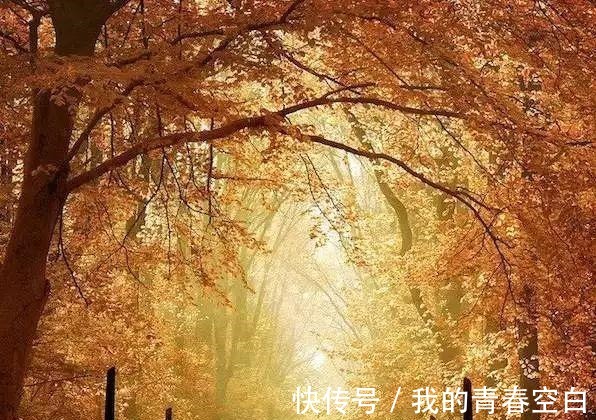 横祸&古代奇文《心相篇》 积功累仁, 百年必报