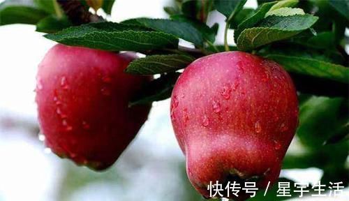 降压|每天晚上坚持吃3种食物,补血益气,降压减脂,好吃也不贵!