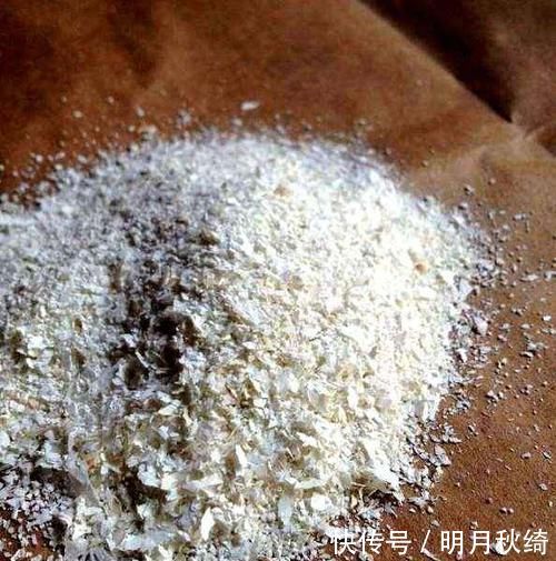 松针|养花还烂根吗？3种东西随便撒一把，根不烂，长的粗，开花刹不住