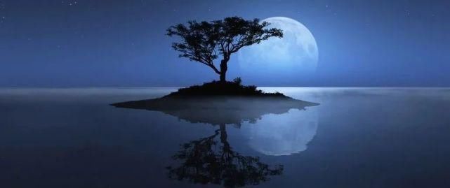 做自己生命中的太阳，不做月亮！