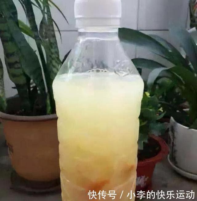 黄豆|兰花花期实在长得慢？老花匠教你一招，让它30天内就开爆盆