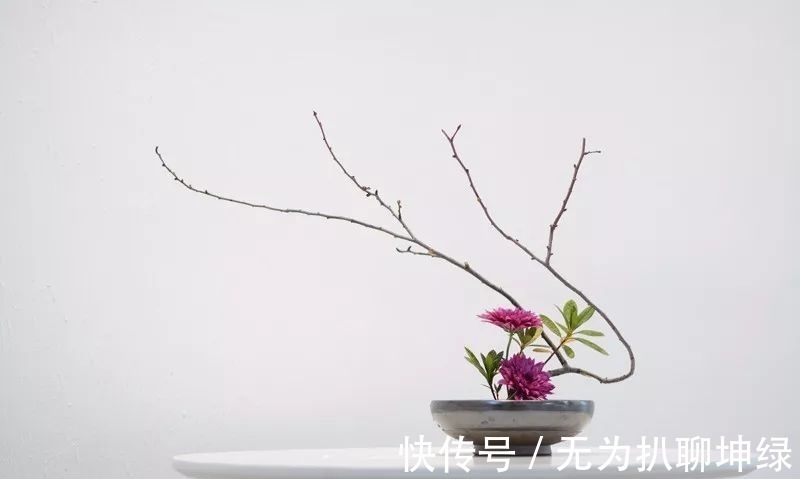 努力|曾国藩:人生只有两件事靠得住