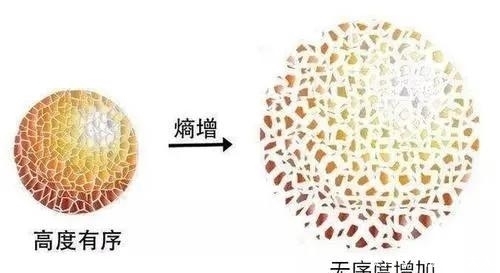 永生 熵增定律到底是什么?为何很多人在理解它后,就突然顿悟了呢?