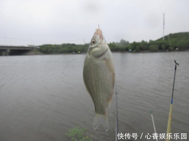 30多年前，我花一块钱买的钓鱼小册子，让我悟出了钓鱼的门道